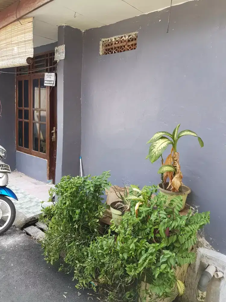 Dikontrakan rumah di.jalan percetakan negara 3 rt.15 rw.01