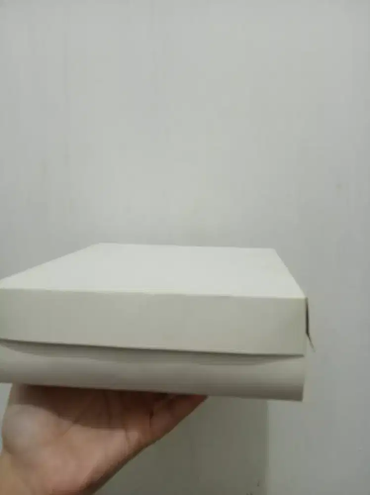 Dus Nasi atau box nasi
