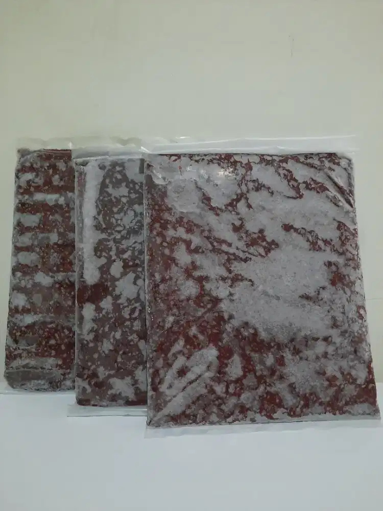 Cacing beku cabek pakan ikan hias per 500gr