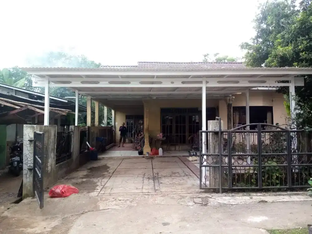 Kanopi alderon single 10