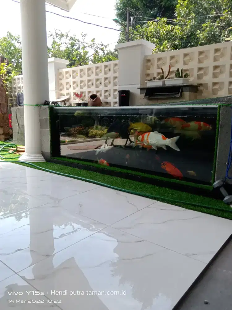 Kolam koi tukang kolam