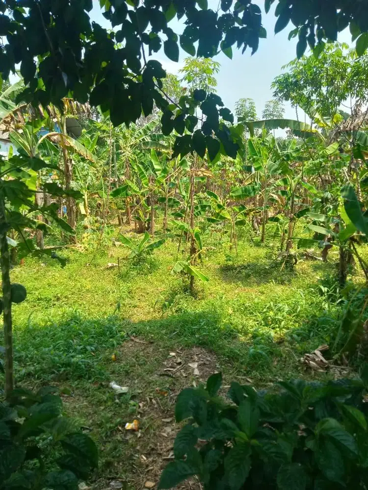 Dijual Tanah Daerah Pemagarsari, Parung Bogor