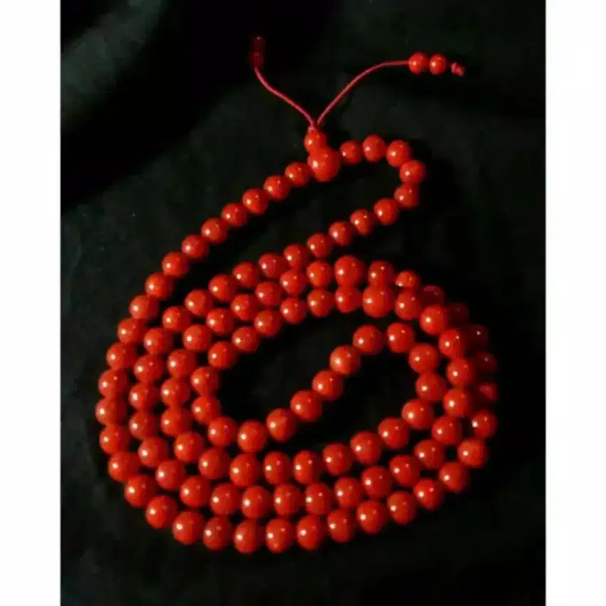 Tasbih Budha Red Coral