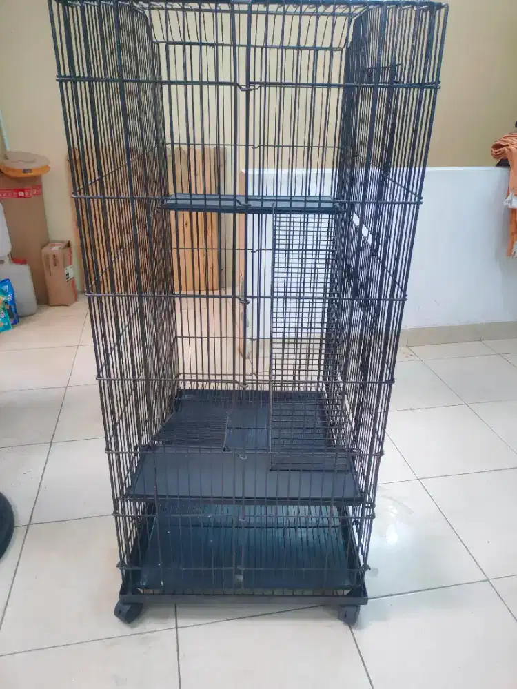 Kandang Bekas Kucing Hewan Peliharaan