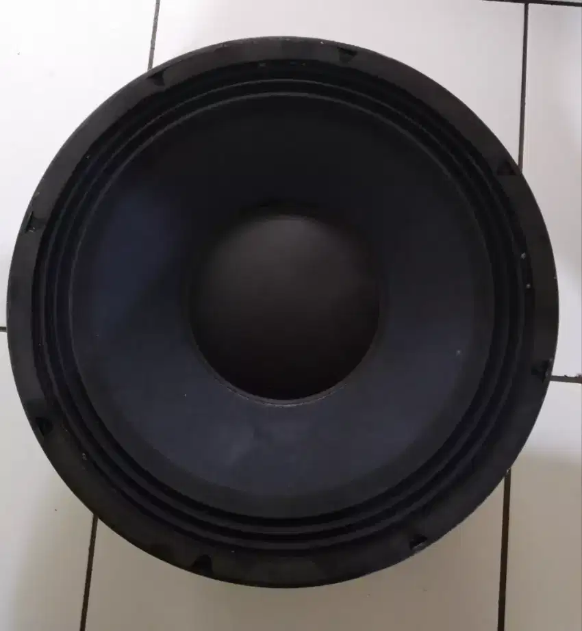 Speaker Geldof 12 inch