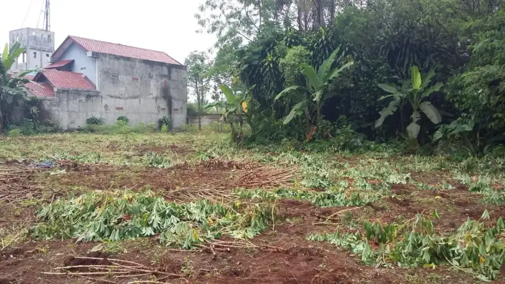 Tanah SHM 4600m2 Kp. Tulang Kuning, RT/RW: 004/05, Waru, Parung, Bogor