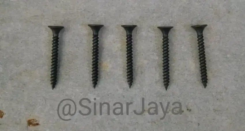 Sekrup Gypsum 2,5 cm / Drywall Screw 2,5 cm