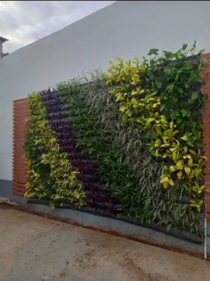 TAMAN VERTIKAL VERTICAL GARDEN