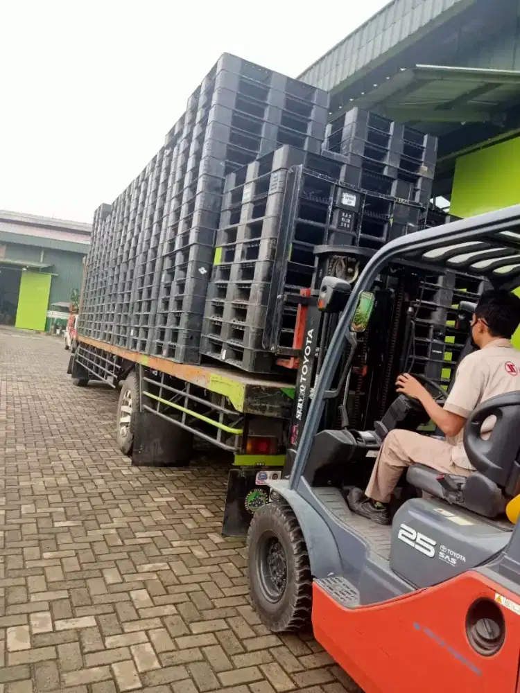 Pallet plastik palet plastik handlift ada