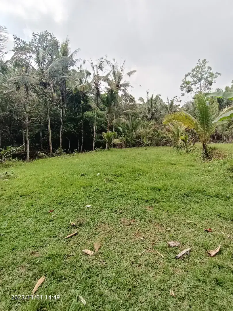 Land for leasehold in Tabanan Bali close Sing Sing Angin waterfall