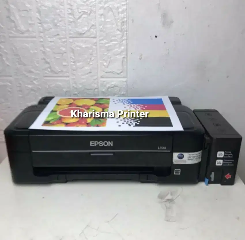 PRINTER EPSON L300