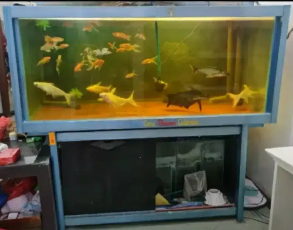 Aquarium Ikan Besar Uk. 200x160x80 cm, Bahan Almunium & KACA TEBAL
