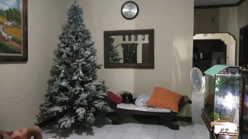 Pohon Natal 8feet +/- 2.4meter non aksesoris