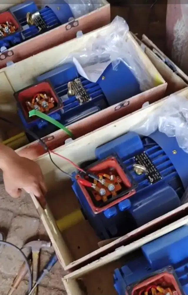 Dinamo motor surabaya