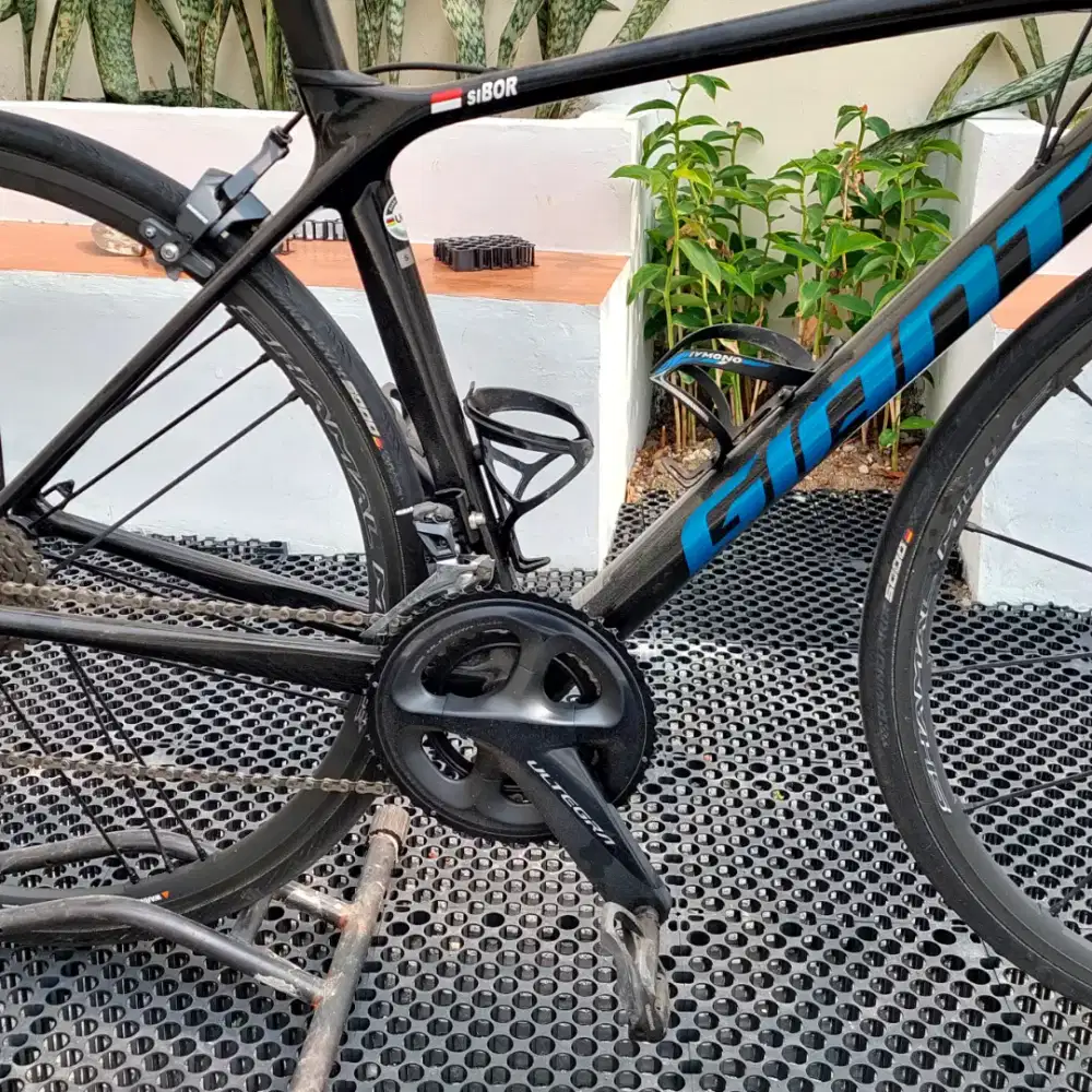 Jual 2024 giant tcr