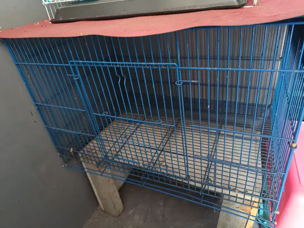 Kandang Uk L size 60x40x40