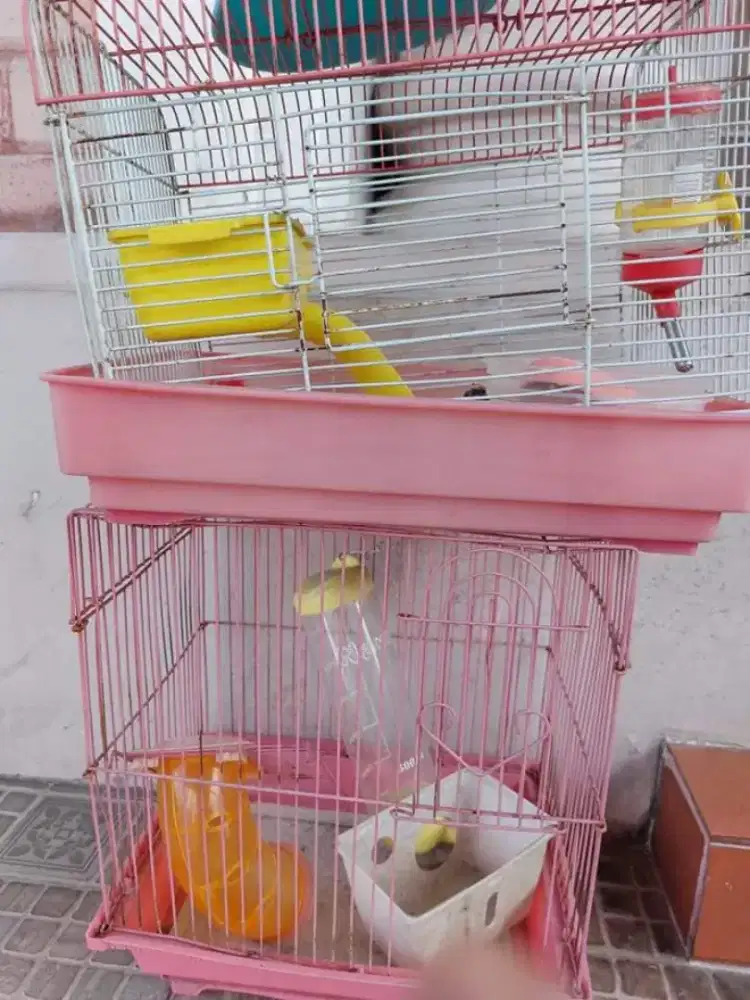 Dijual Kandang Hamster