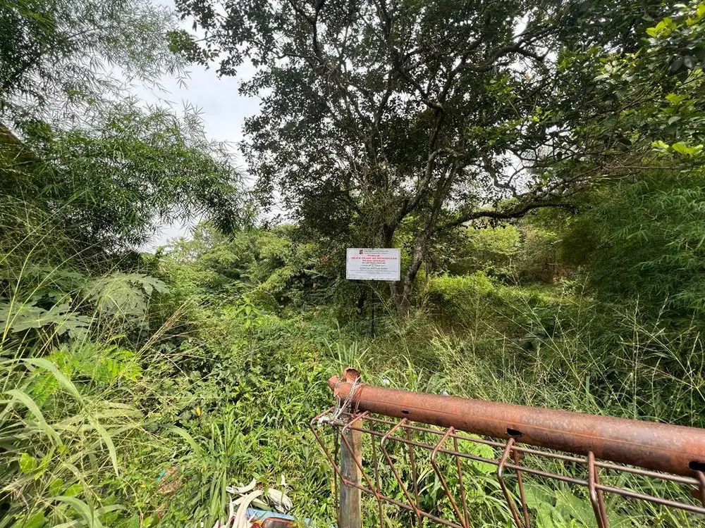 Tanah Bagus di Jalan Raya Pamoyanan Bogor Selatan