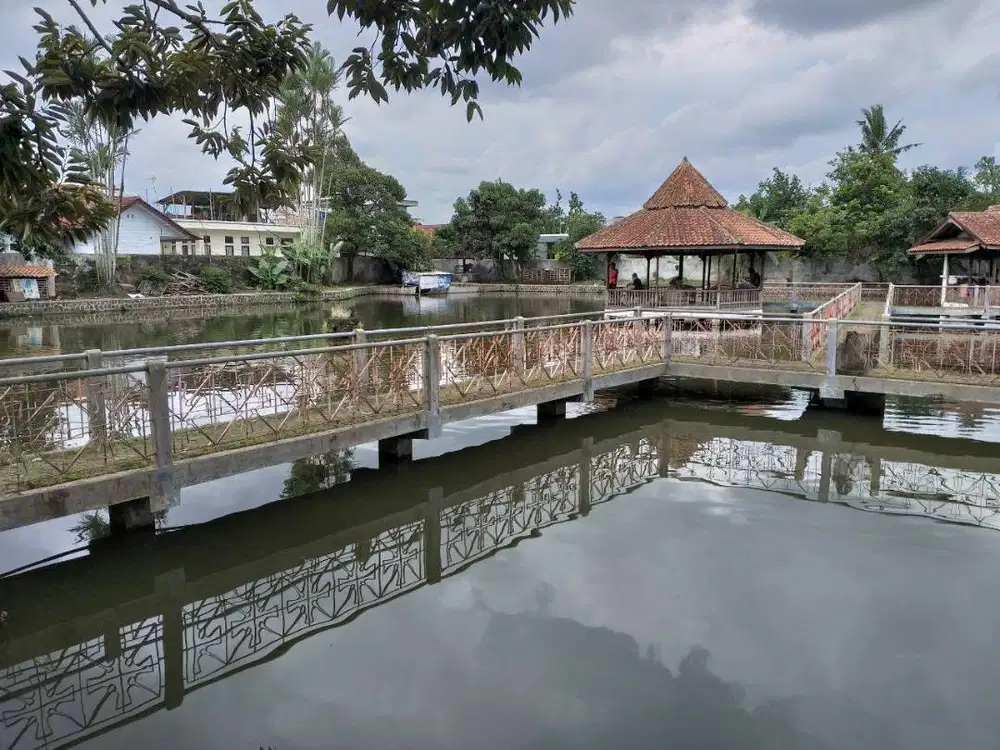 Jual tanah empang, tambak ikan atau kolam ikan produktif
