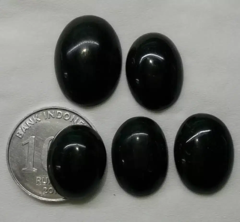 Batu Fosil Galih Kelor Original