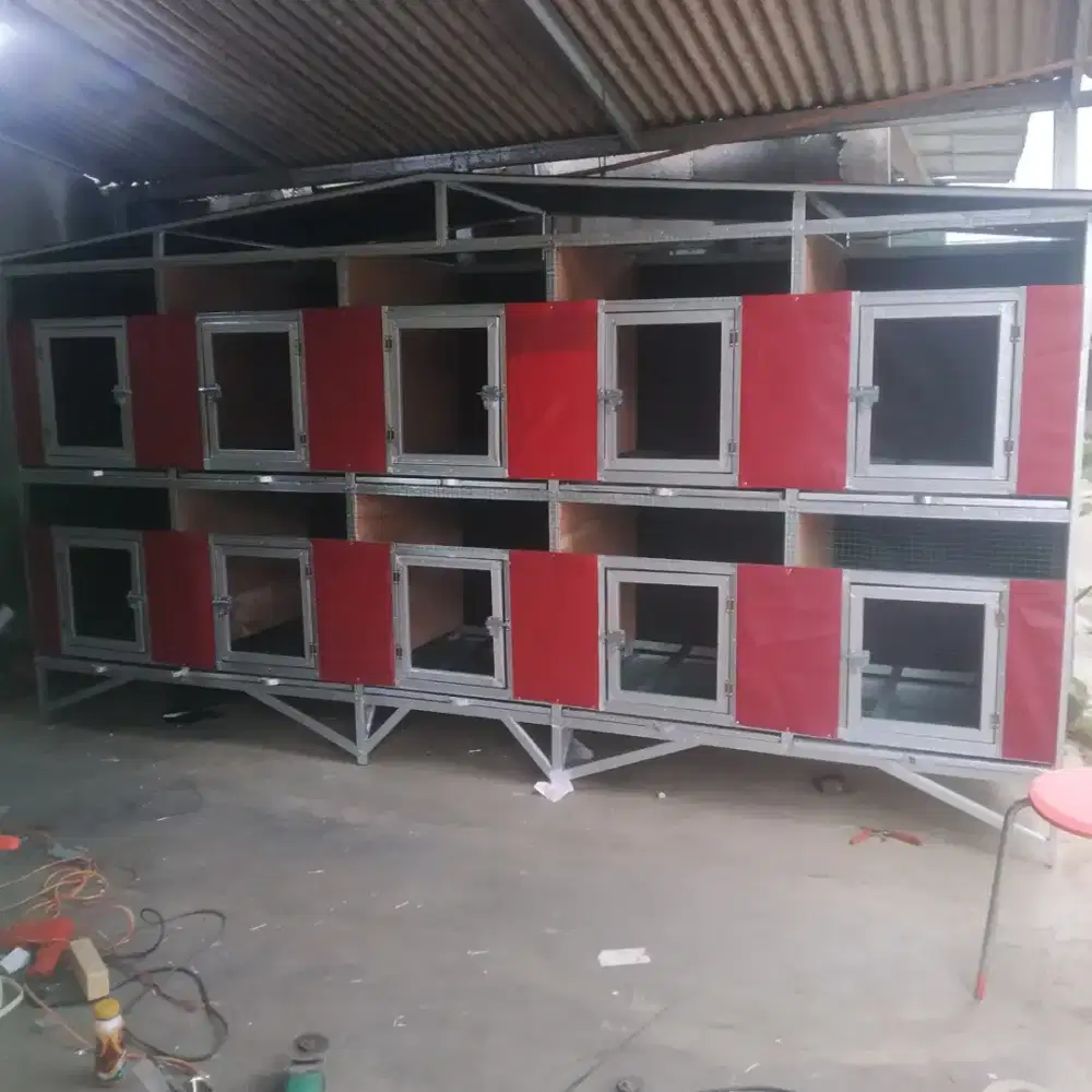 Kandang ayam 10 kotak