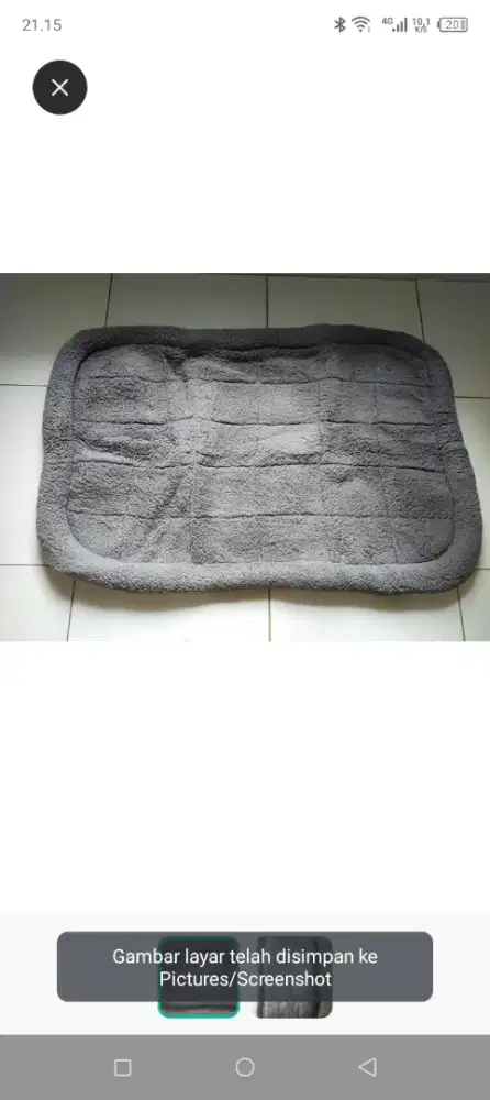 kasur ukuran xL untuk anabul