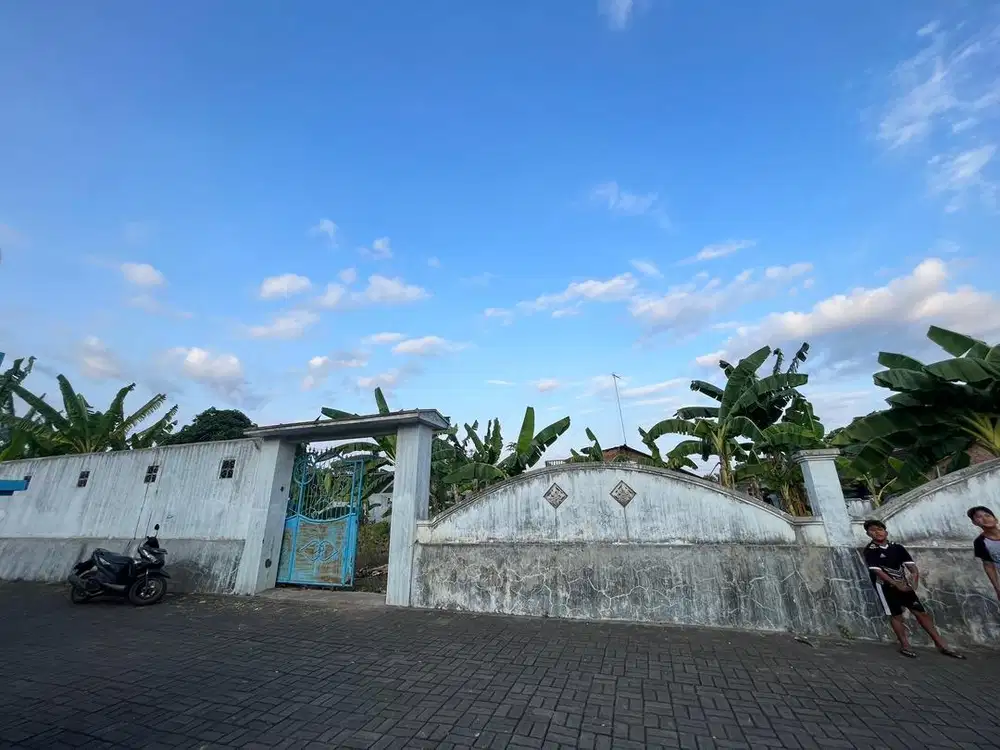 DIJUAL TANAH SHM ROGOJAMPI
