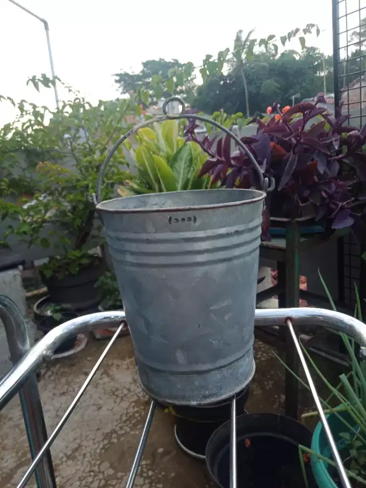 Ember kaleng vintage