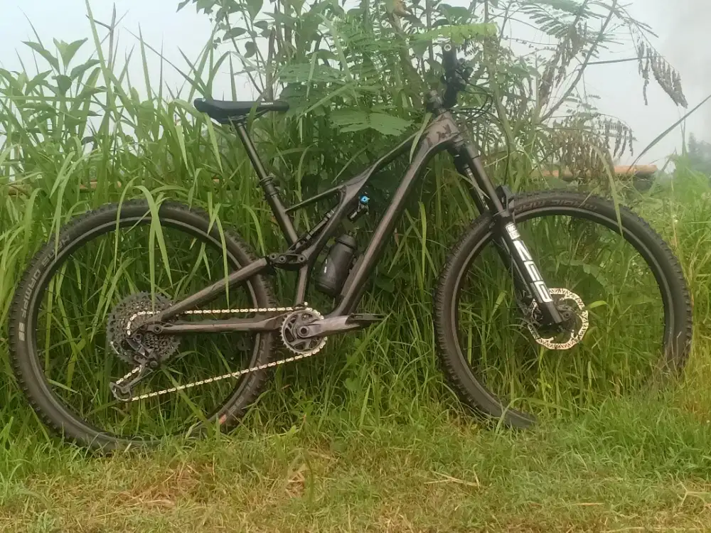 Sepeda store specialized stumpjumper