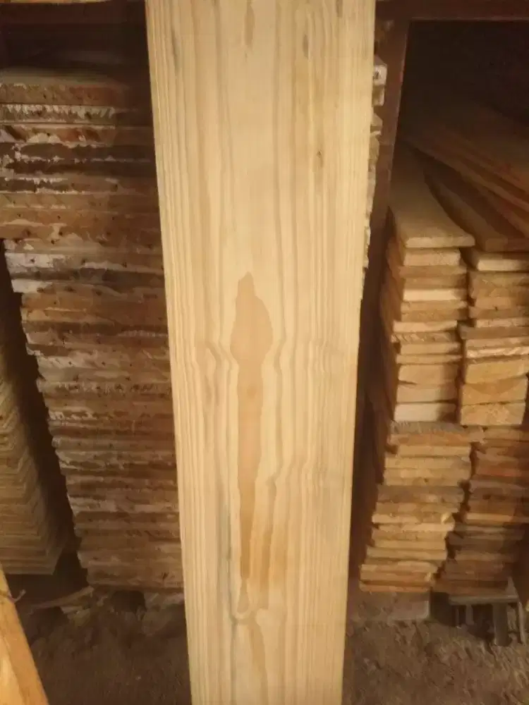 Papan Jati Belanda 2x10x200cm - 240cm