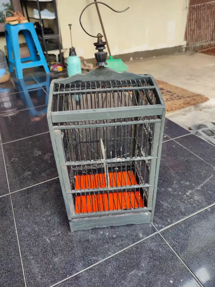 Kandang Burcil bekas ssogon ruji aman harga NETTTTT