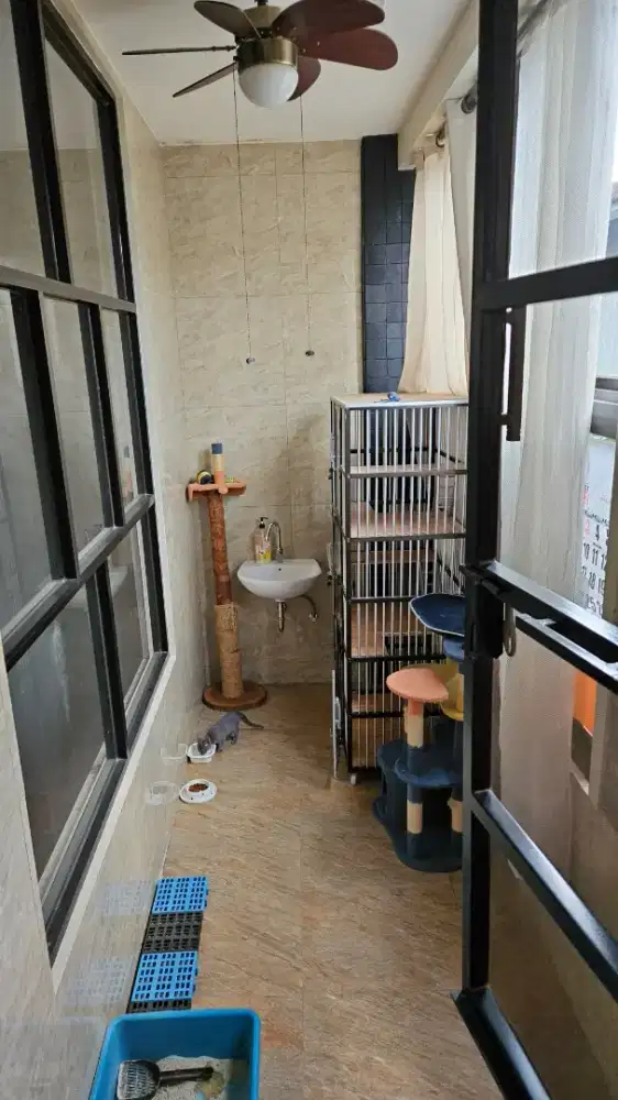 Pet hotel kucing