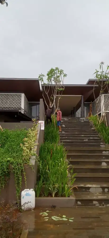 Tukang kebun amanah.. perawatan dan pembuatan taman baru.