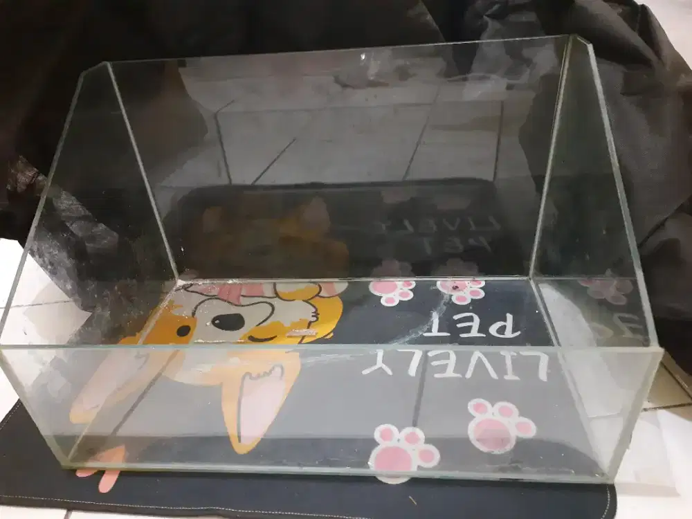 Akuarium ex paludarium