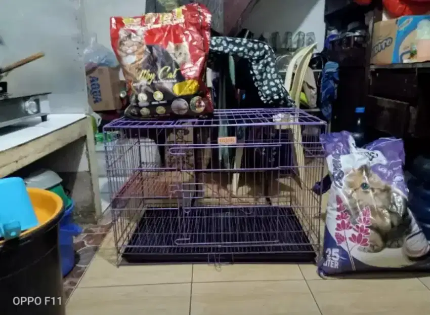Kandang kucing tingkat