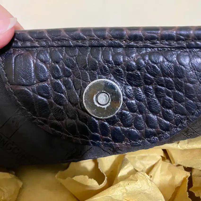 Longchamp Brown Glaze Croco
