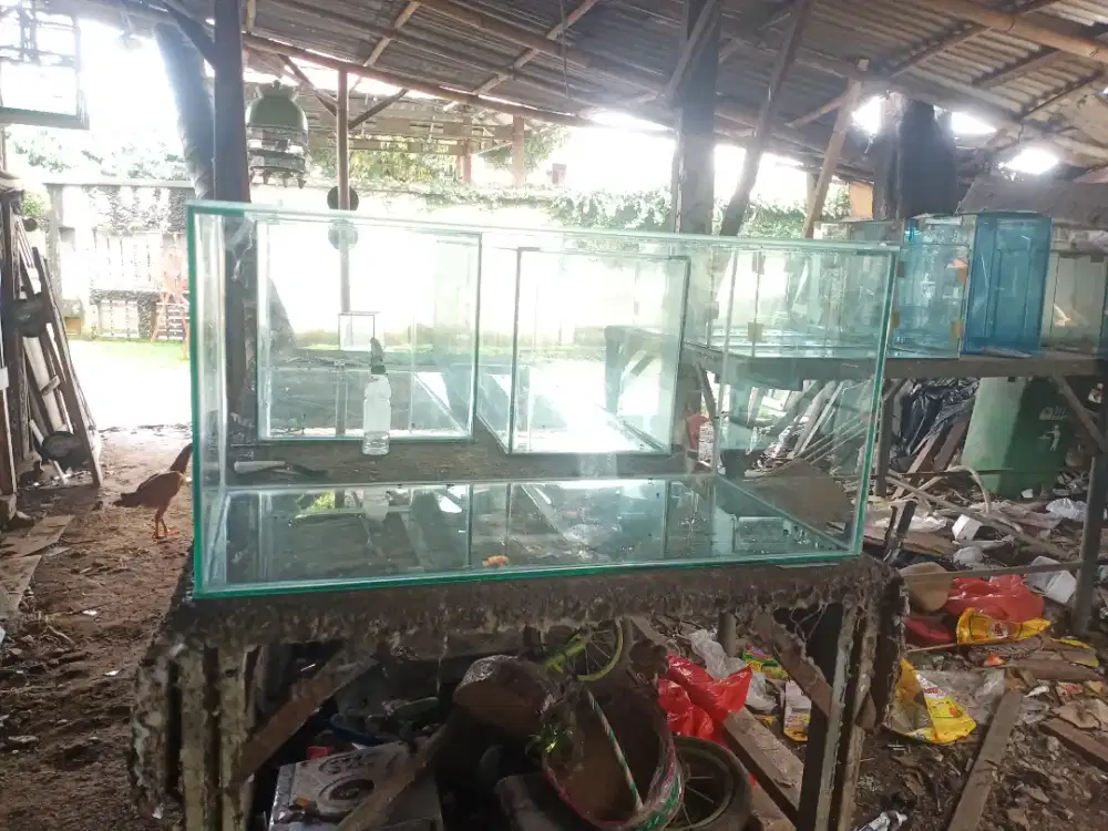 Aquarium 100×50×50 full 8mili