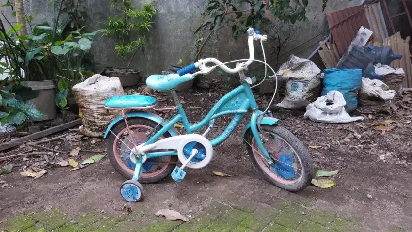 Sepeda anak wim cycle Cinderella