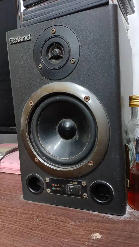 Roland DS 5 Sound Monitor
