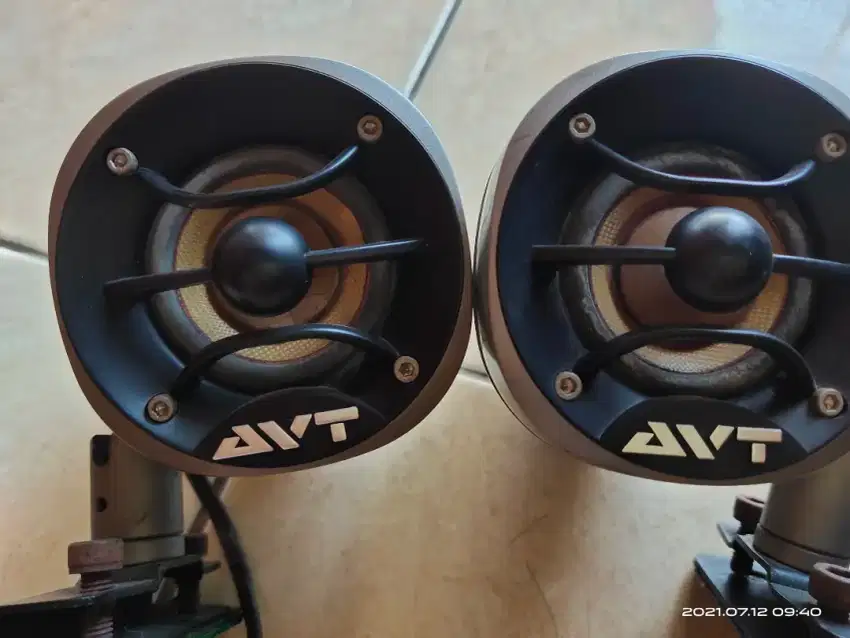 AVT speaker surround