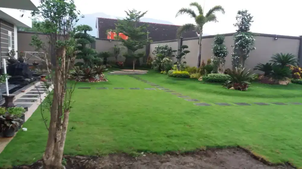 Jasa tukang taman
