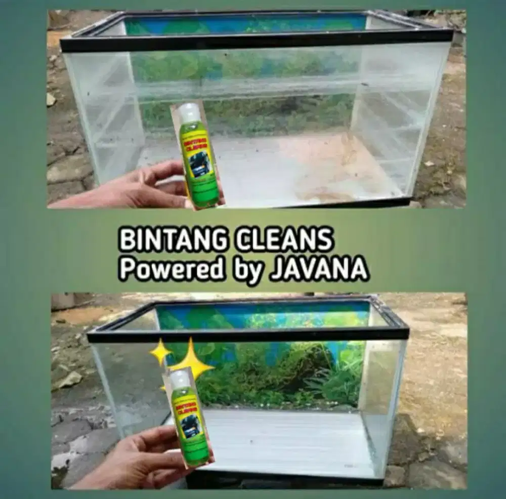PEMBERSIH JAMUR KACA MOBIL AQUARIUM KUSAM BURAM KUNING KEMBALI BENING