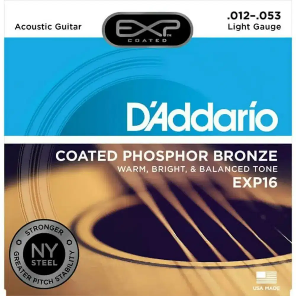 D'Addario 012 akustik senar gitar exp16