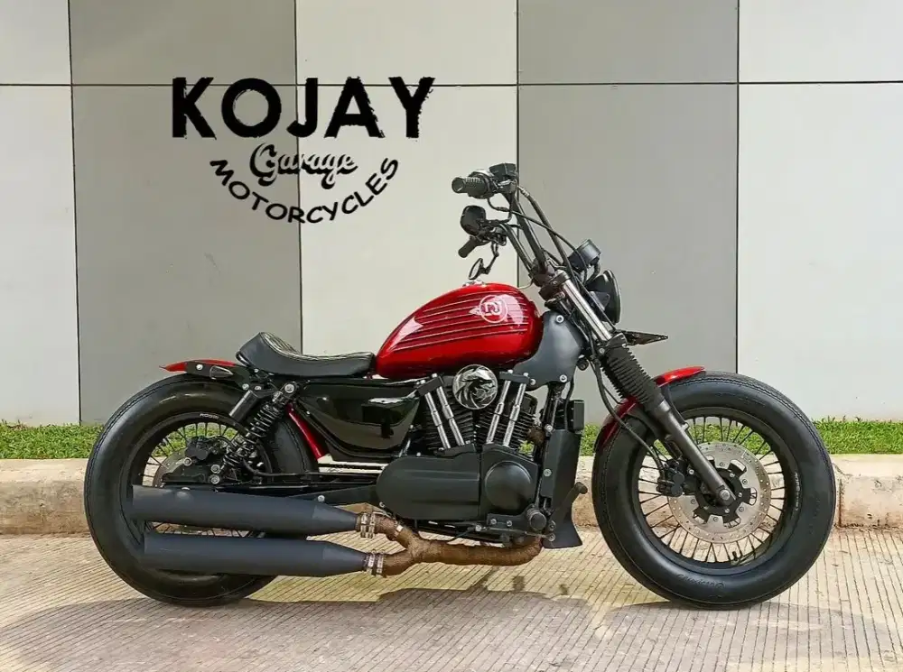 Benelli EVO 200 custom