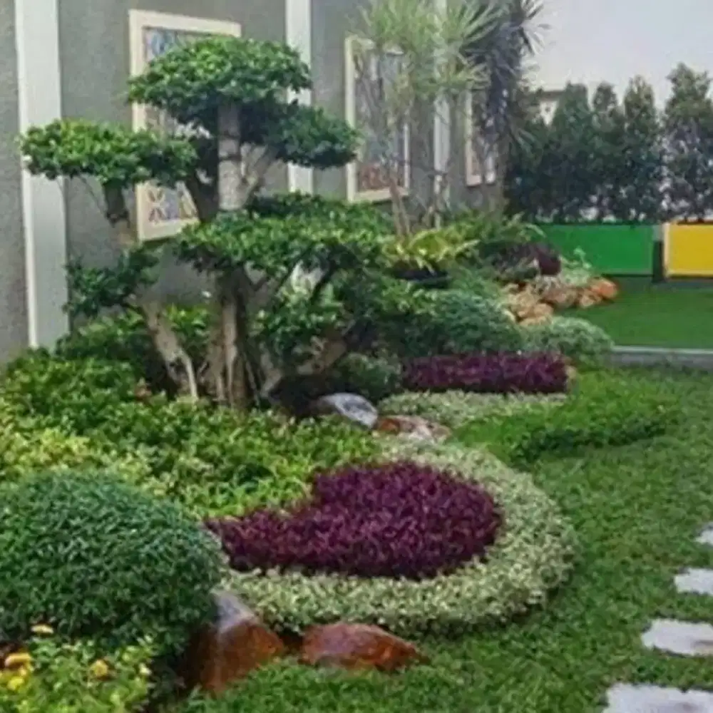 Jasa pembuatan taman kering