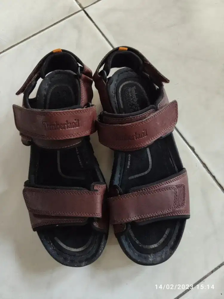 Timberland Trail Hiking