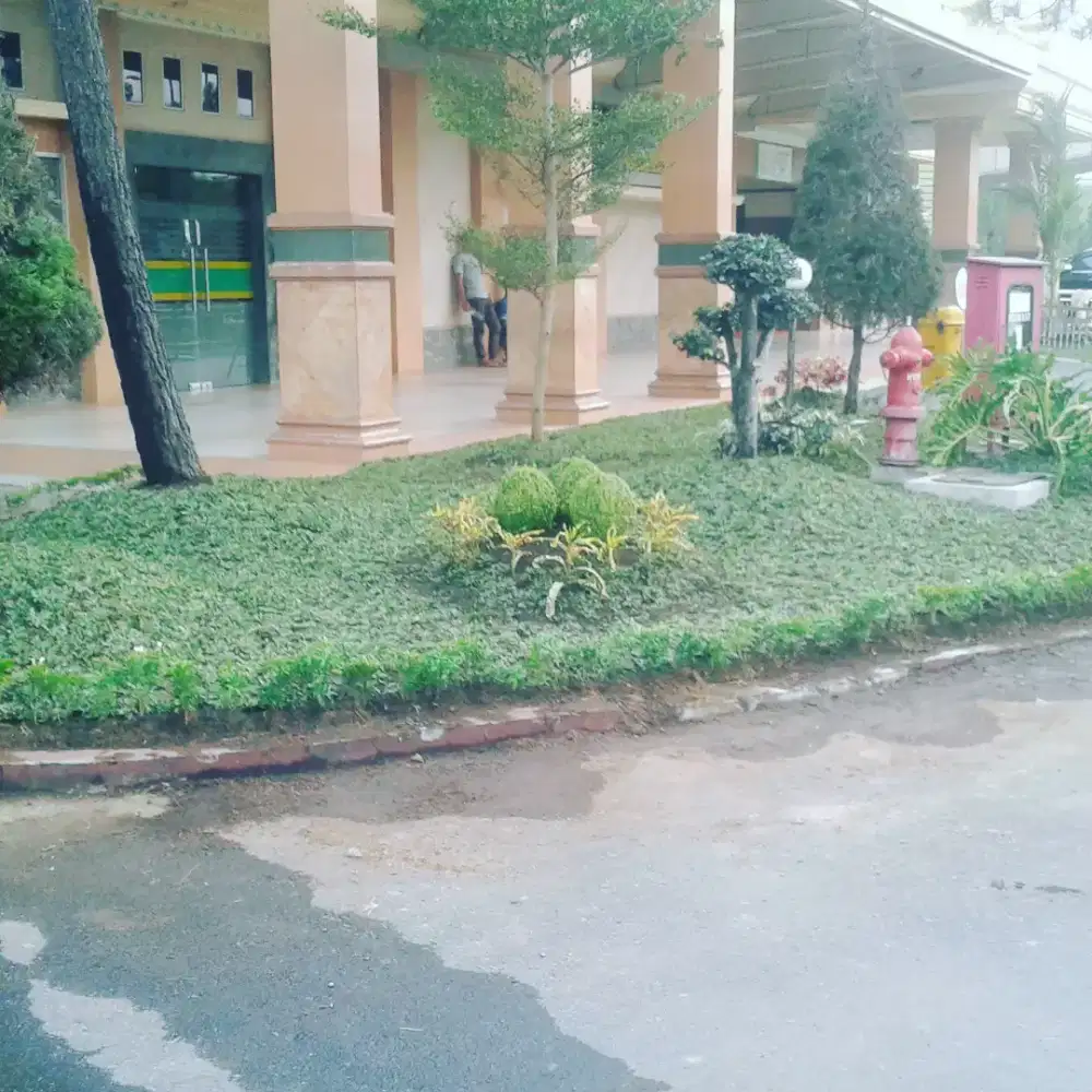 Jasa Taman Medan