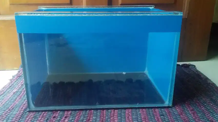 Tank aquarium kecil begron