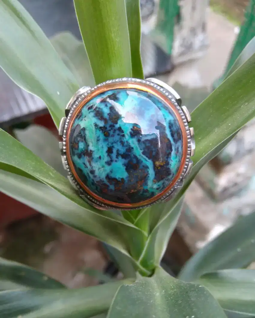 Bacan Majiko Totol Army Bulat Bahan Doko