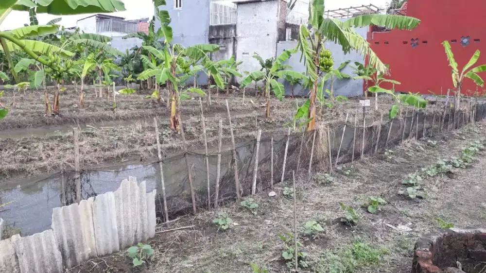 MURAH Tanah kavling ,lokasi dkt transmart sidoarjo invest/kos2an